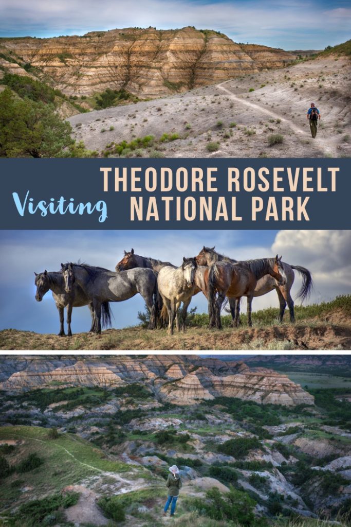 theodore roosevelt national park