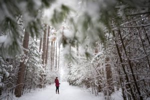 Midwest Images