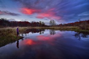 Midwest Images