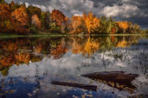 Midwest Images