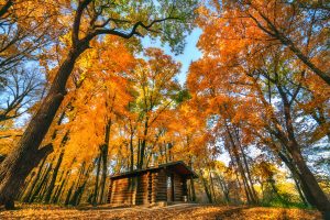Midwest Images