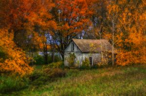 Midwest Images