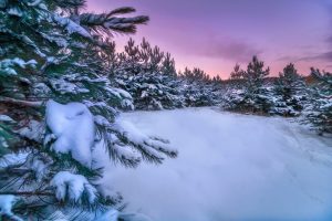 Midwest Images