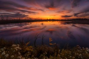 Midwest Images
