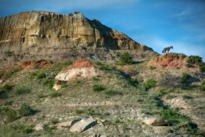 National Parks