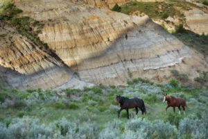 National Parks