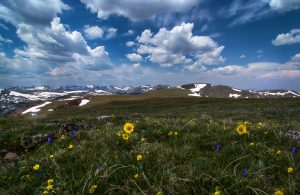 National Parks