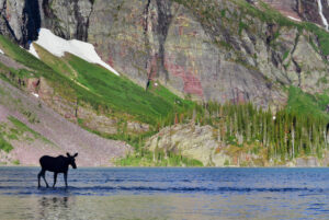 National Parks