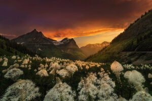 National Parks