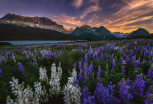 National Parks