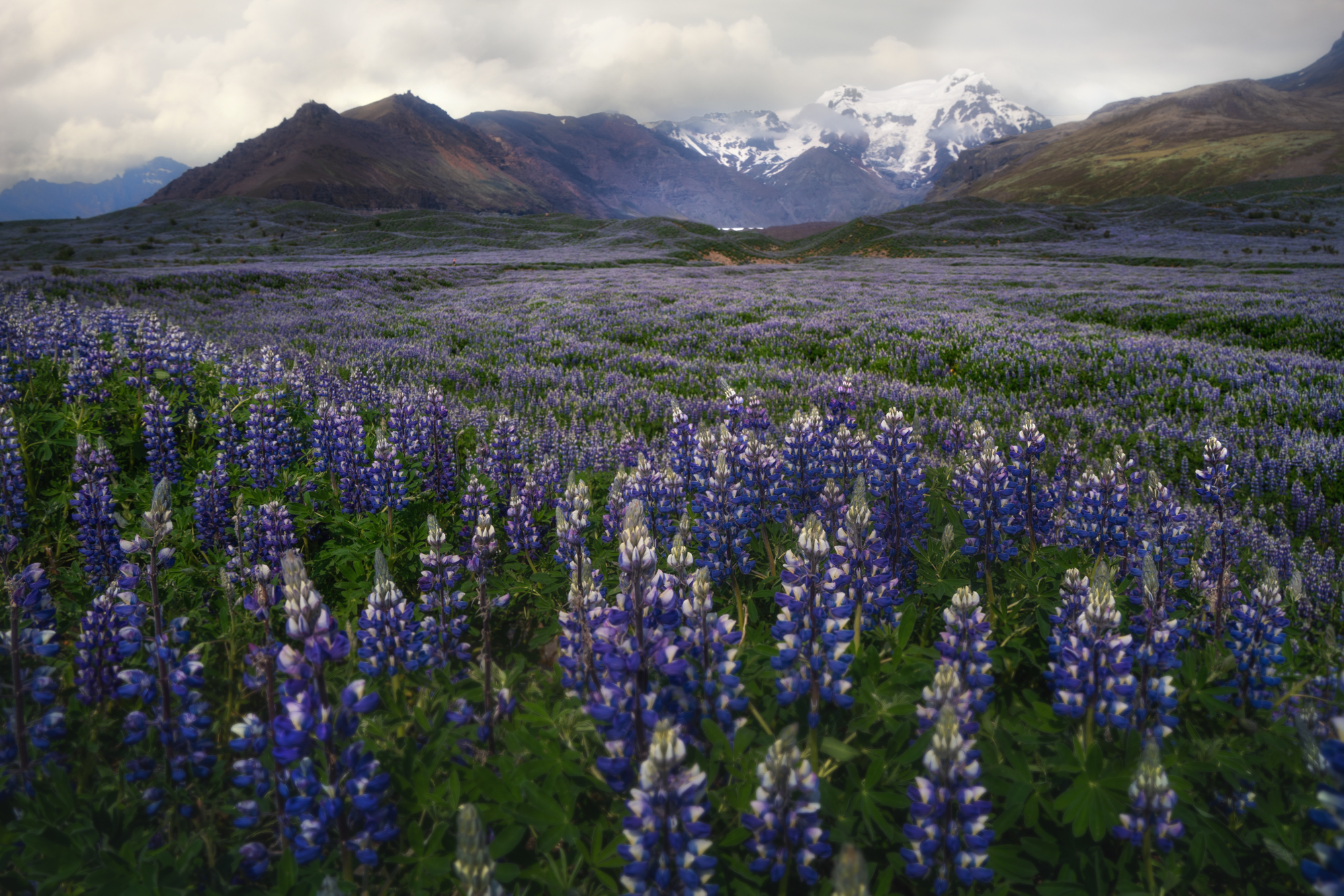 Into Iceland We go Into Iceland We go