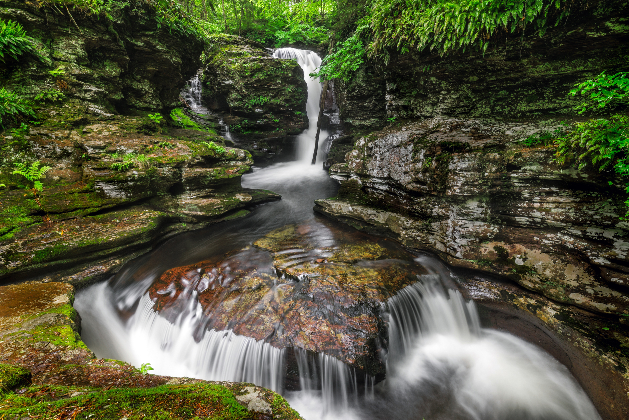 Into Ricketts Glen We Go October Opening soon!