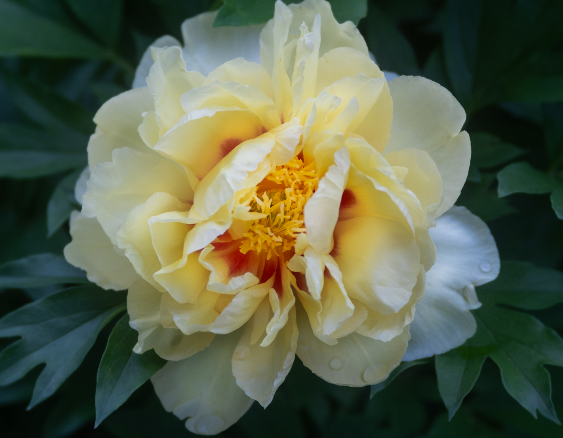 ctweb_6