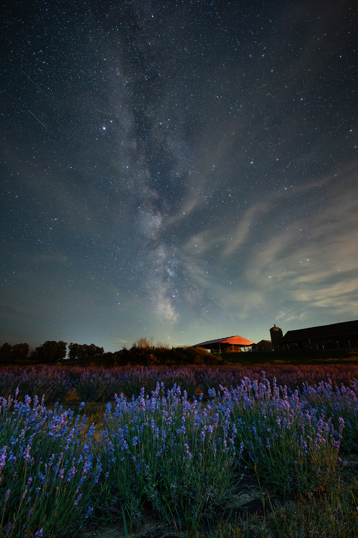 _DSC3258 copweby